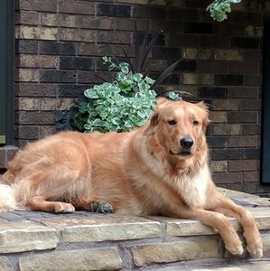 Meet your Posher, Cathey